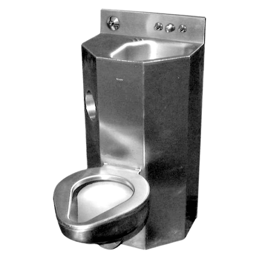 18" Wide Combination Lavatory/Toilet Units with angled lavatory bowl