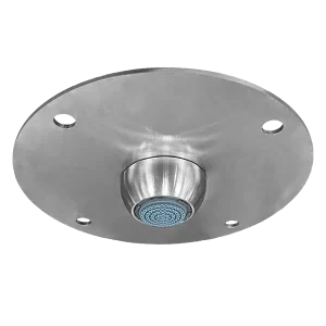 Ligature-Resistant Ceiling Mounted Showerhead