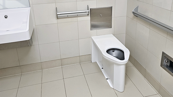 ligature-resistant lavatory, toilet, and accessories installed in behavioral health environment