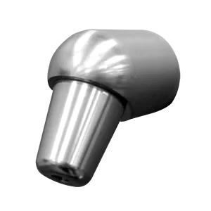 Non-Adjustable Vandal-Resistant Showerhead